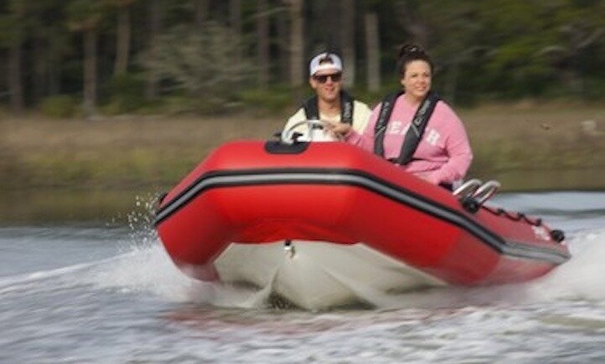 Image 2: Hilton Head Guided Dolphin Watching & Sightseeing Tour via Mini Boat