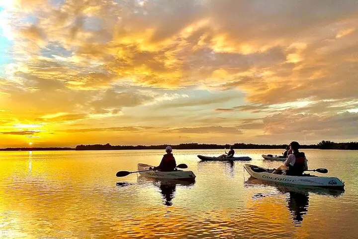Sunset Tour Mangrove, Dolphins, Manatee #1 Rated in Cocoa Beach - Primary Image