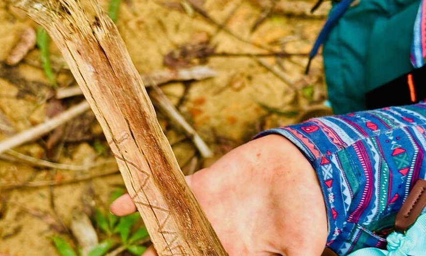 Image 3: Trek Shoot and Soothe Hiking Tour from Springwood Blue Mountains