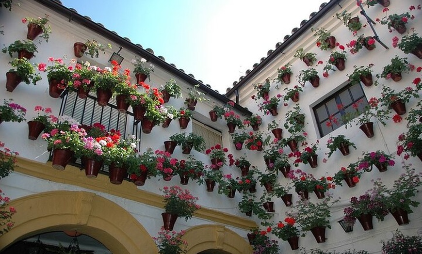 Image 4: Excursión a Córdoba desde Sevilla en Grupo