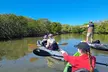 Noosa Everglade Kayak -South/Noosa End - Searching for Stingrays! - Image 6