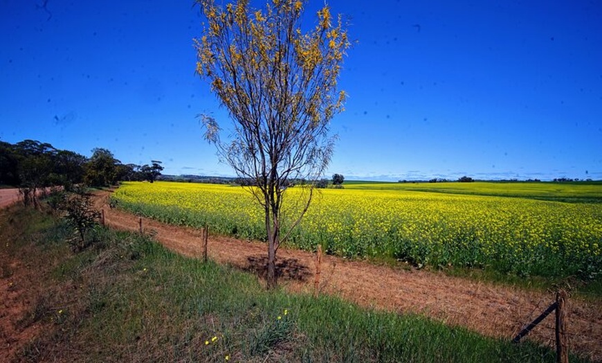 Image 11: Australian Animal Night Safari