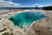 Yellowstone Lower Loop Tour | Wildlife & Hot Springs | PRIVATE - Second Medium