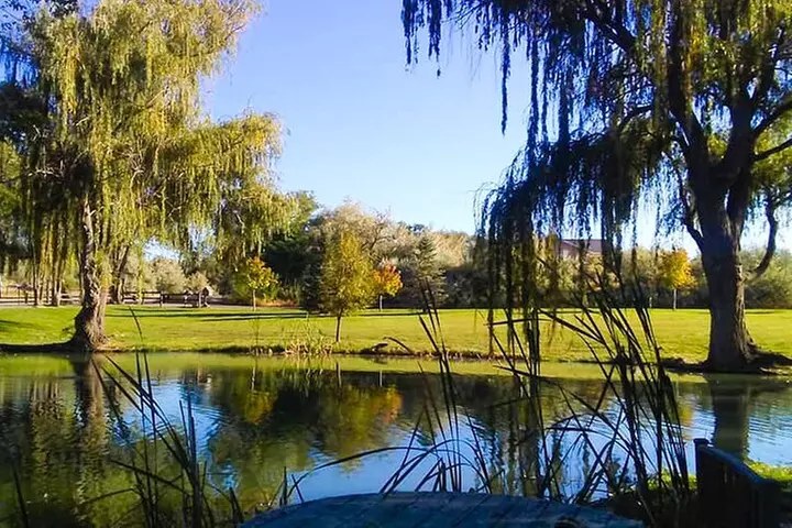 Guided Half-Day Tour Scenic Adventure & Wine Tasting Tour