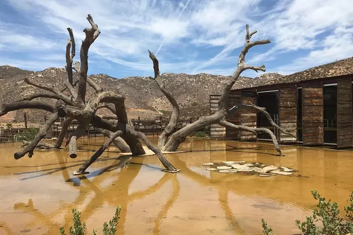 Luxury Private Wine Tasting Tour to Guadalupe Valley from San Diego