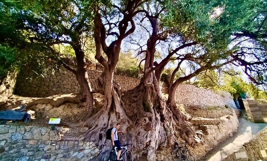 Image 3: Roquebrune & château Grimaldi : village perché - Tour à pied