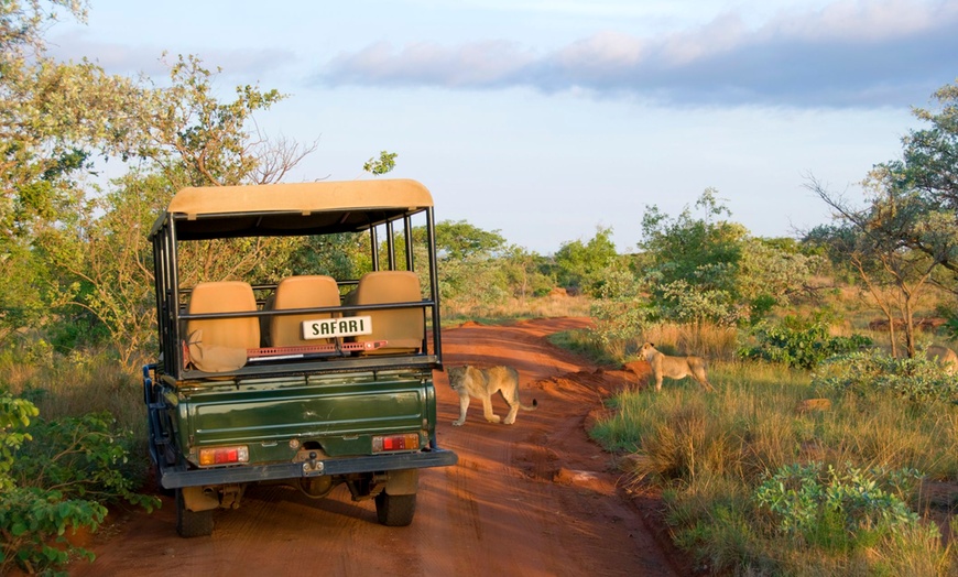 Image 8: ✈ KENYA | Diani Beach - Four-star Diani Sea Resort & Safari Combine...