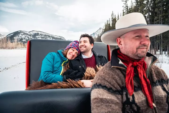 Private Horse-Drawn Sleigh Ride In Banff - Primary Image