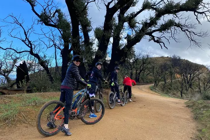 Scenic Malibu Overlook eMTB Experience (Beginner)