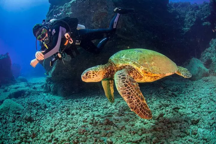 Kauai's Ultimate South Shore 2 Tank Dive (Certified Divers Only)