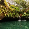 Image 14: Small Group 3 Waterfall Cenotes Experience
