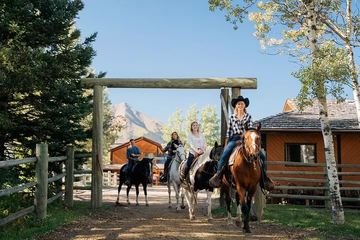 Valley Vista 1.5 Hour Horseback Trail Ride in Kananaskis - Primary Image