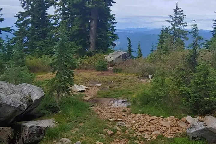 Nature Tour/Hike - Primary Image