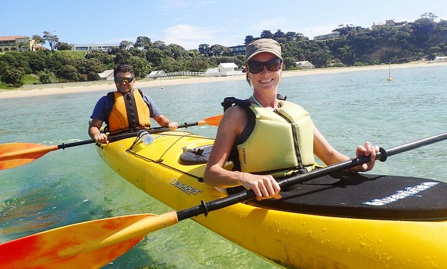 Image 2: Mornington Peninsula Kayak Coastline Tour of Dolphin Sanctuary