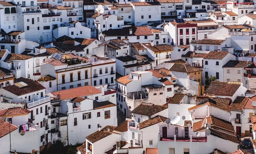 Image 10: Día en Pueblos Blancos y Ronda desde Sevilla