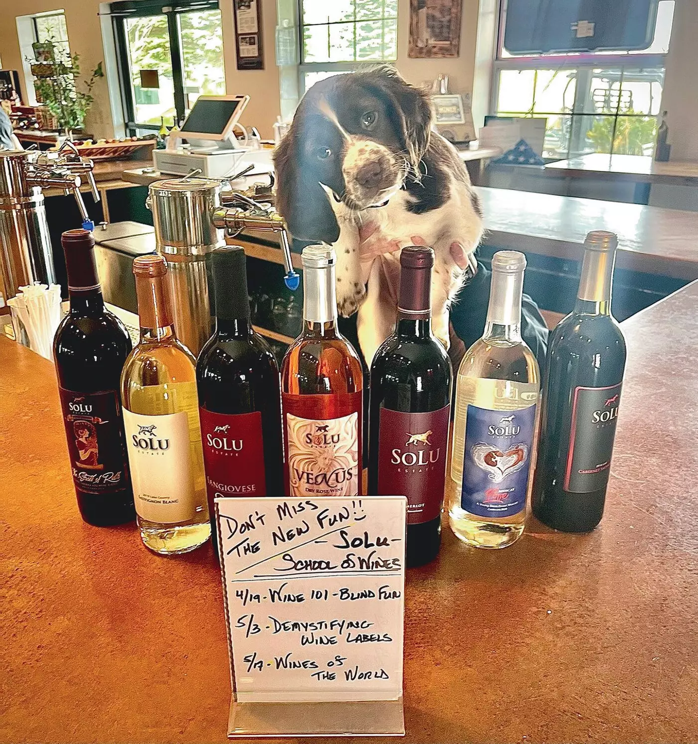 $20 For Wine Or Mead Tasting Flight Of 6 For 4 People (Reg. $40)