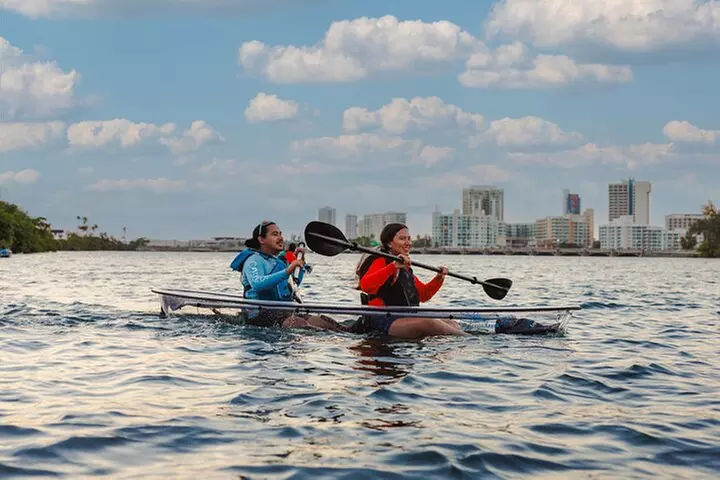 Condado Lagoon: Nature Kayak Tour - Primary Image