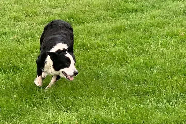 2-Day Private Liverpool BeatlesTour & Explore North Wales in a lice...