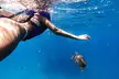 Turtle Canyon Snorkel from Waikiki: Turtles Guaranteed - Second Medium