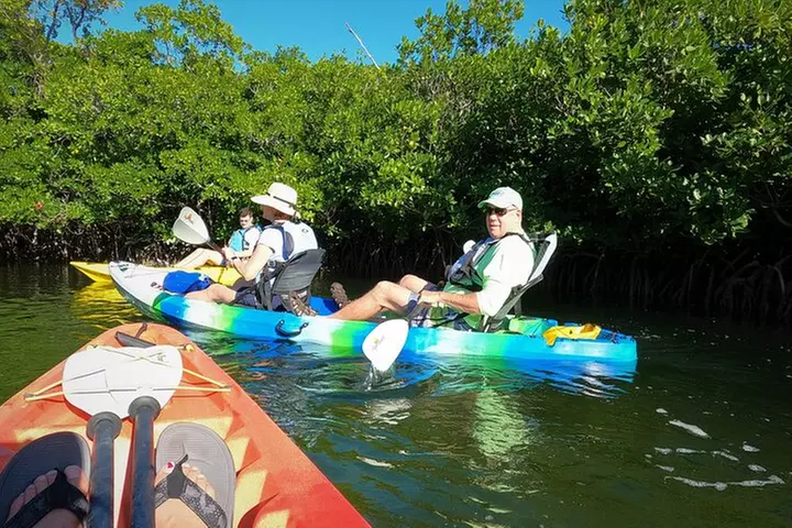 Mangrove Tunnel Kayak Adventure in Key Largo