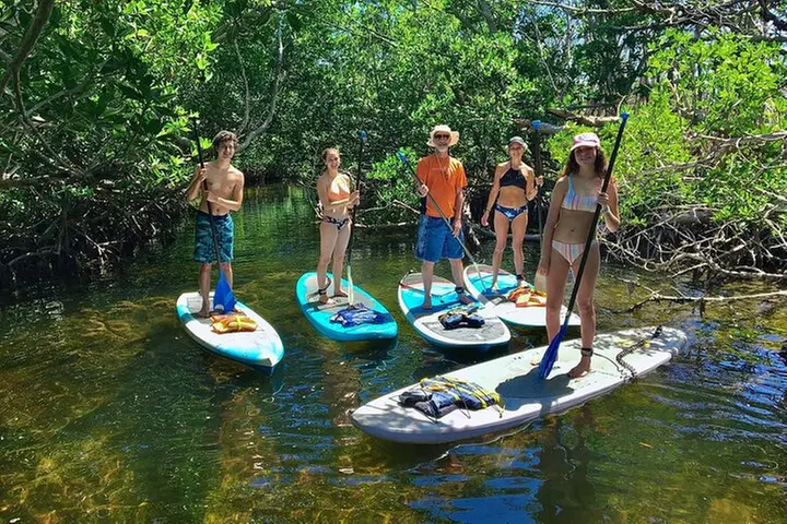 Mangroves and Manatees - Guided Kayak Eco Tour