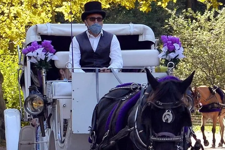NYC Central Park Horse and Carriage Ride: Long Ride 45 min