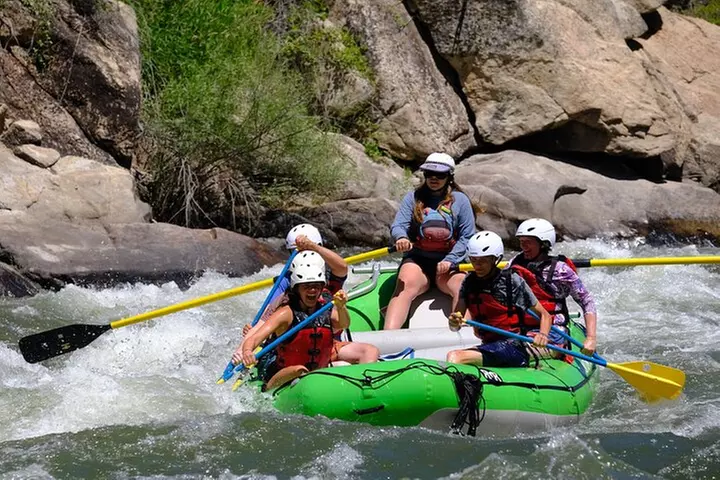 Whitewater Rafting the Salmon River - Full Day