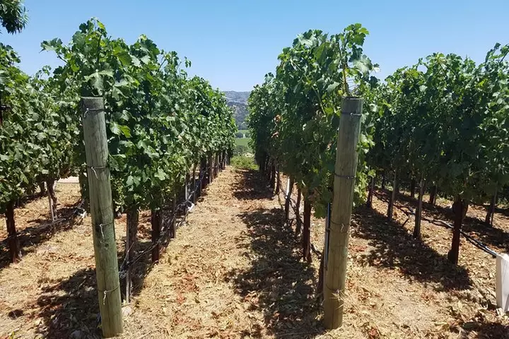 6 Hour Private Wine Country Tour (Sedan, SUV or Limo)