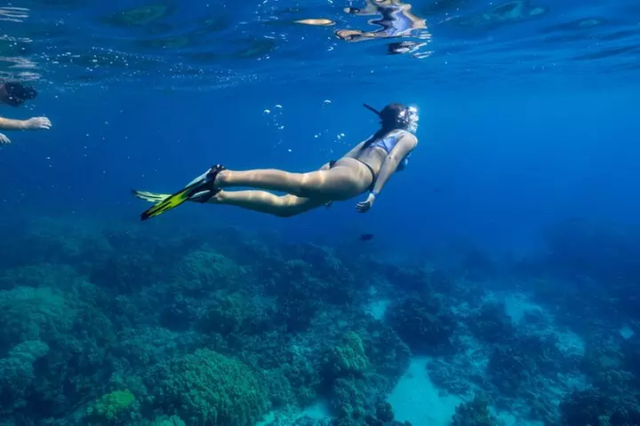 Private Kealakekua Bay Snorkel with Dolphin Watch
