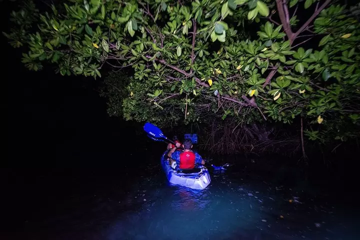 Bioluminescent Bay Kayak Adventure Tour from San Juan - Primary Image