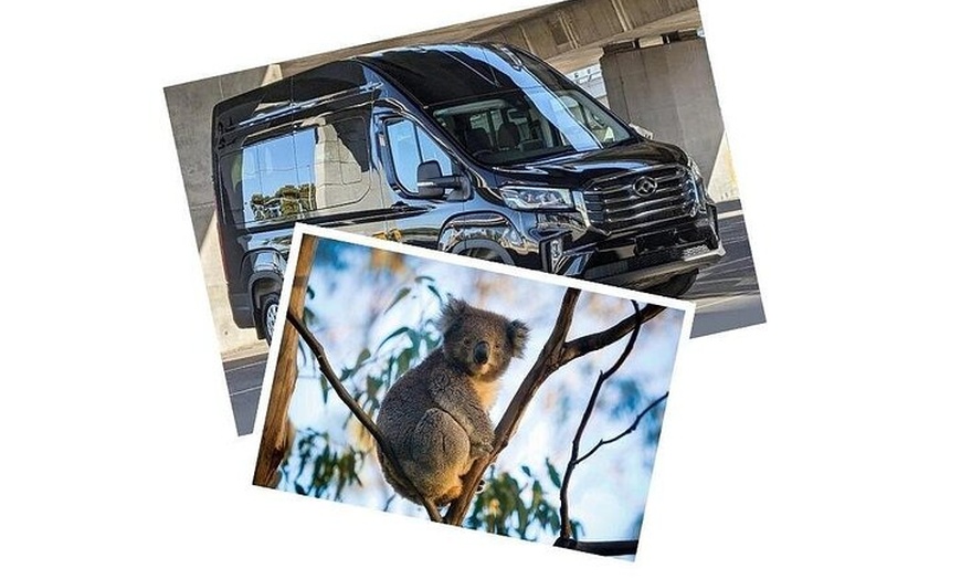 Image 3: Great Ocean Road Tour Reverse –SML GRP-DLUX Mini Bus Hotel Pickup