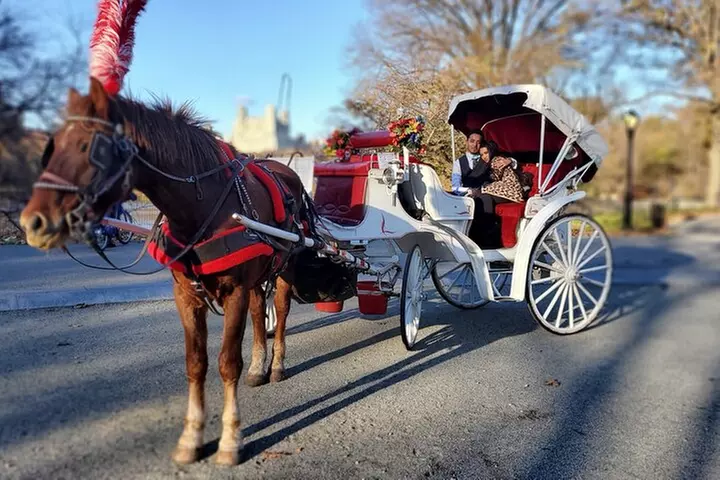 NYC Central Park & Rockefeller Center Private Horse Carriage Tour