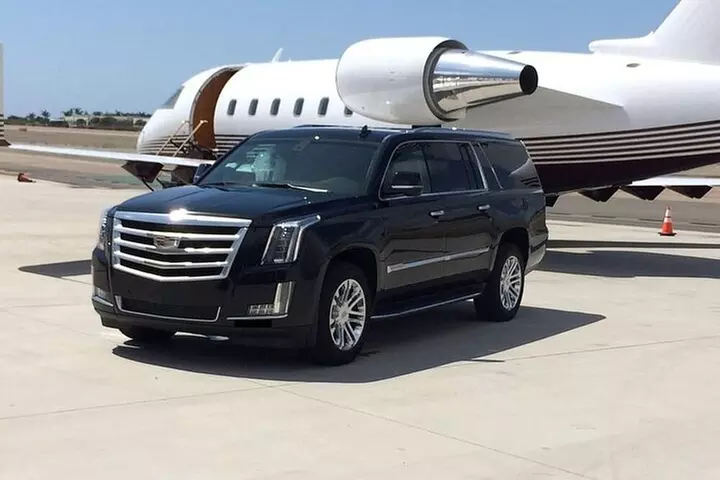 Private Transfer from Cruise Port to San Francisco Airport (SFO) - Primary Image