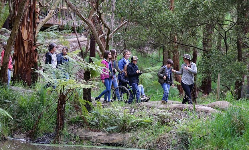 Image 3: Walk with Wildlife: Guided Tour in Great Ocean Road