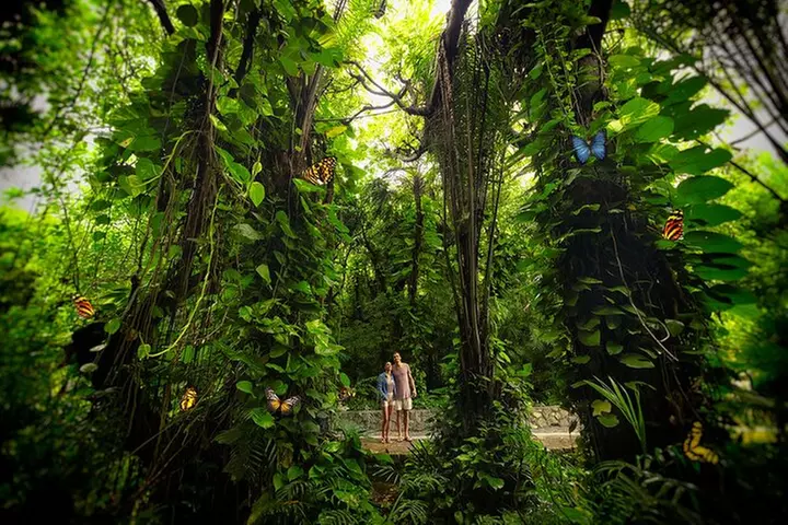 Xcaret Park Entry Tickets with Cultural Night Show Included