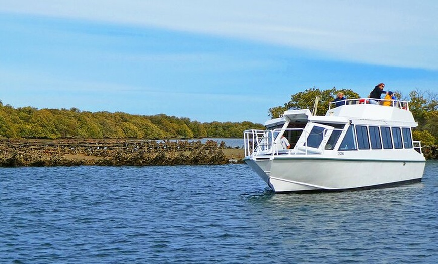 Image 5: 90 Minute Port River Dolphin & Ships Graveyard Cruise