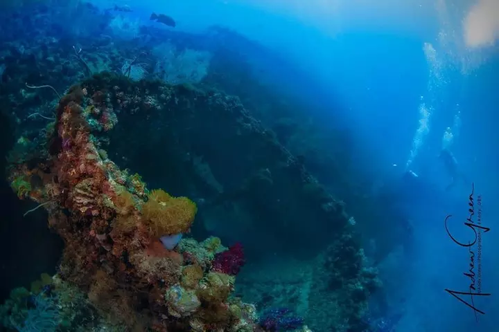 Scuba Dive the S.S. Yongala Wreck on the Great Barrier Reef. - Primary Image