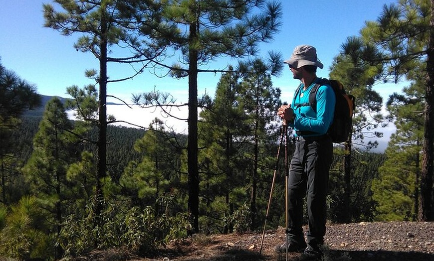 Image 14: Viajes en el tiempo entre los volcanes Trevejo y Chinyero en Tenerife