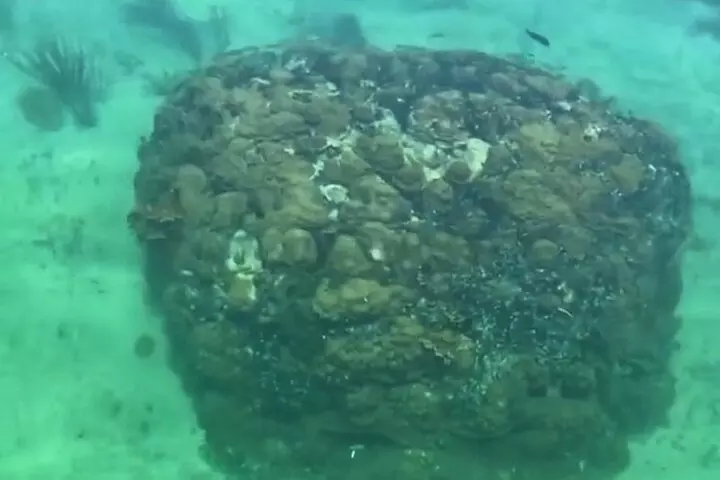 Florida Key Private Islands Exclusive Day Trip from Miami w/activ