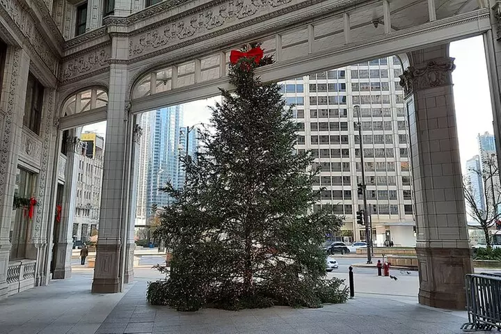 Chicago Seasonal Stroll Walking Tour of Holiday Attractions