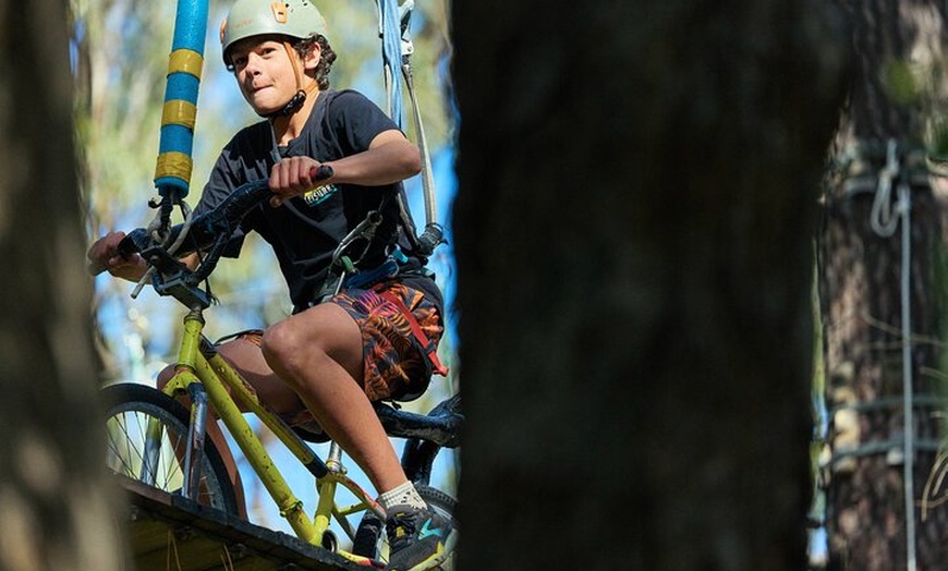 Image 8: Forest Adventures