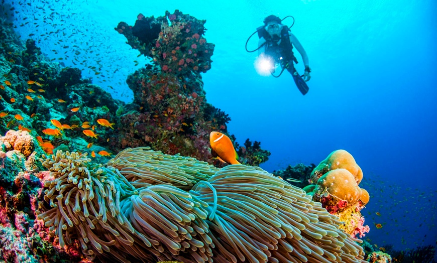 Image 15: ✈ MALDIVES | Mudhdhoo Island - Dusit Thani Maldives 5* - Villa incl...