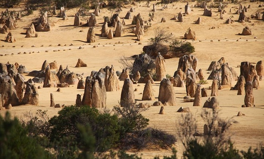 Image 20: Pinnacles Sunset Stargazing Dinner Experience Small Group Tour