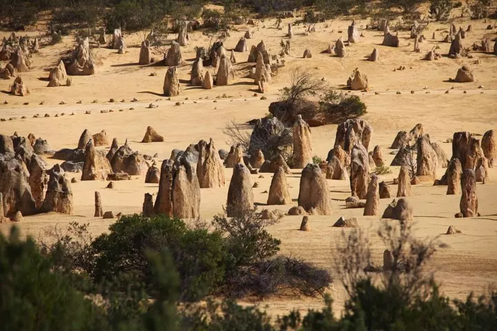 Pinnacles Sunset Stargazing Dinner Experience Small Group Tour