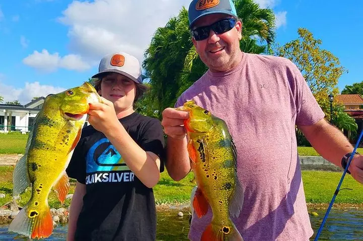 Peacock Bass Fishing Trips Near Miami Florida