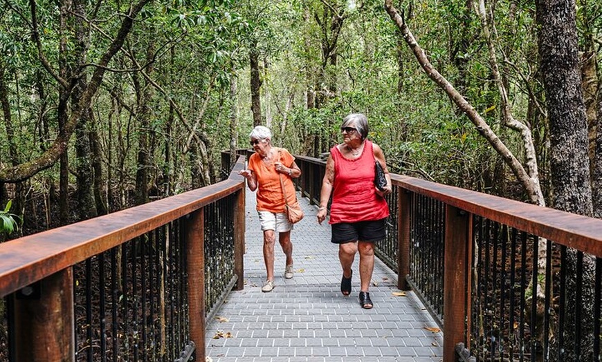 Image 11: Total Daintree Experience Tour from Port Douglas