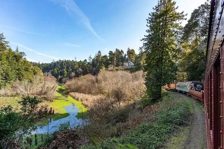 Skunk Train: Wolf Tree Turn from Willits - Image 6