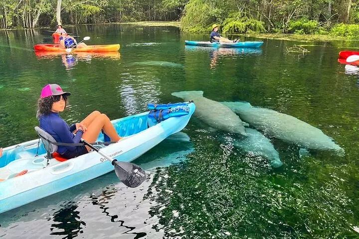 Silver Springs Kayak Rental - The Best Florida Adventure - Primary Image