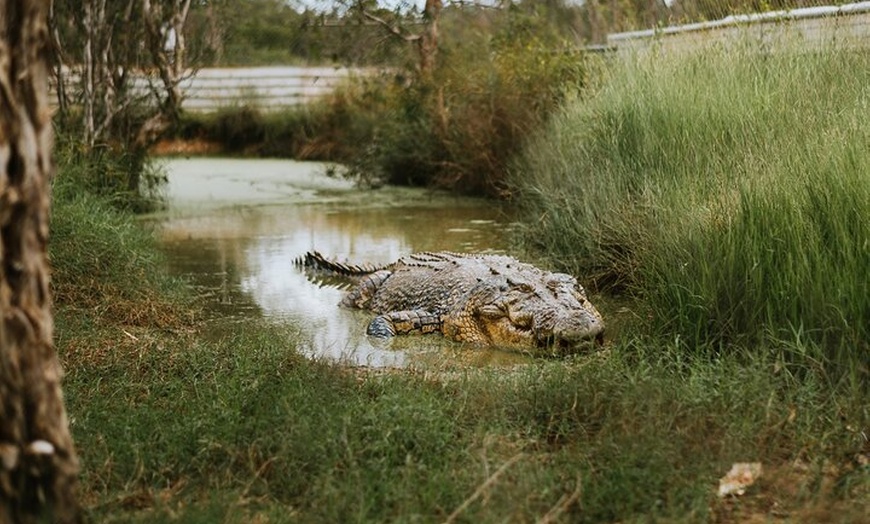 Image 9: Top End Safari Camp Day Tour