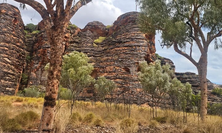 Image 7: Bungle Bungle Ground Tour with Aboriginal Guide